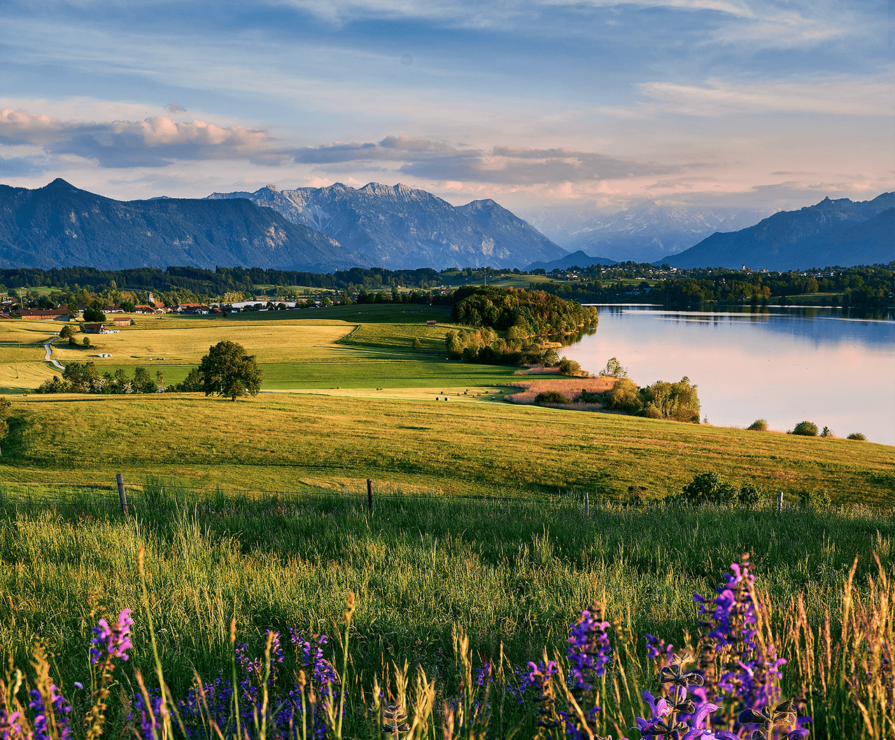 ��8-long8(����)Ψһ�ٷ���վ