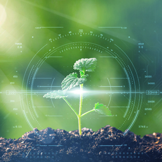 ��8-long8(����)Ψһ�ٷ���վ