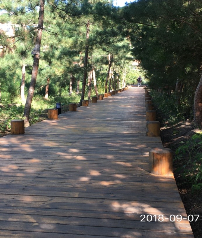 ͼ2���׶�����չ�԰ˢ�º�һ��