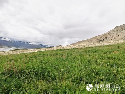 �޸���4����