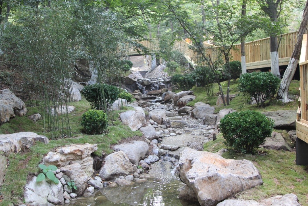 ͼ1�����ɽ��԰�̻�ˢ�º��ֳ�һ��