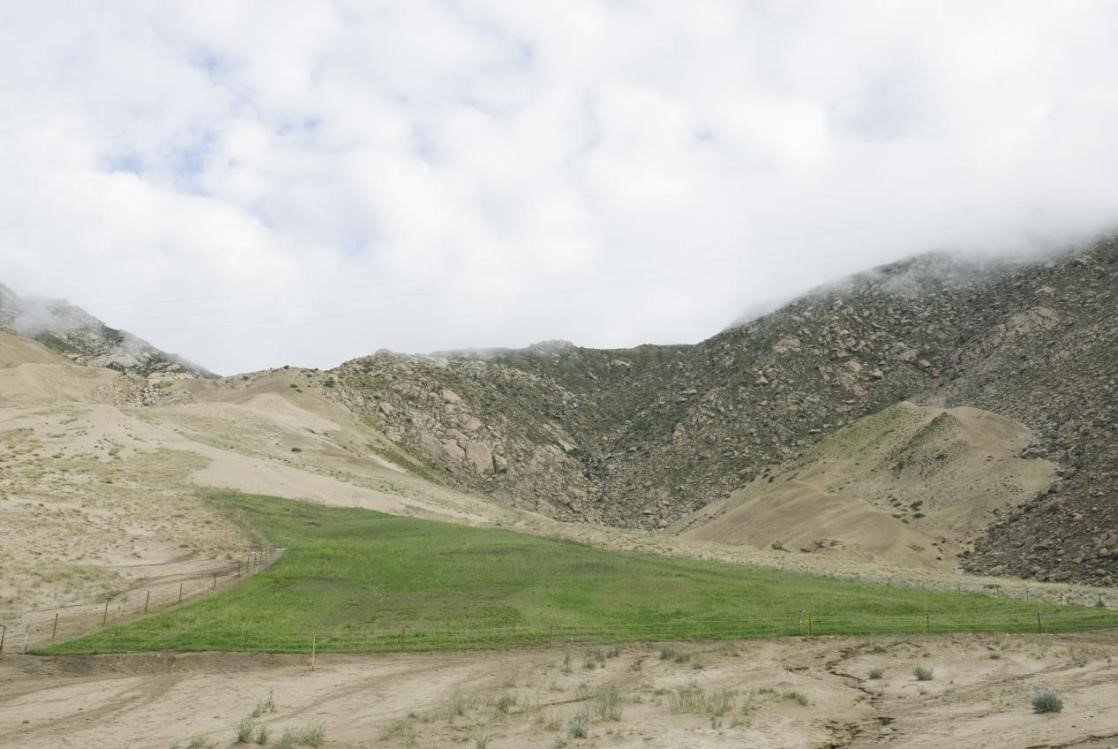 �ֳ�ͼ4����Ŀ�깤��ˮ����ʧ����