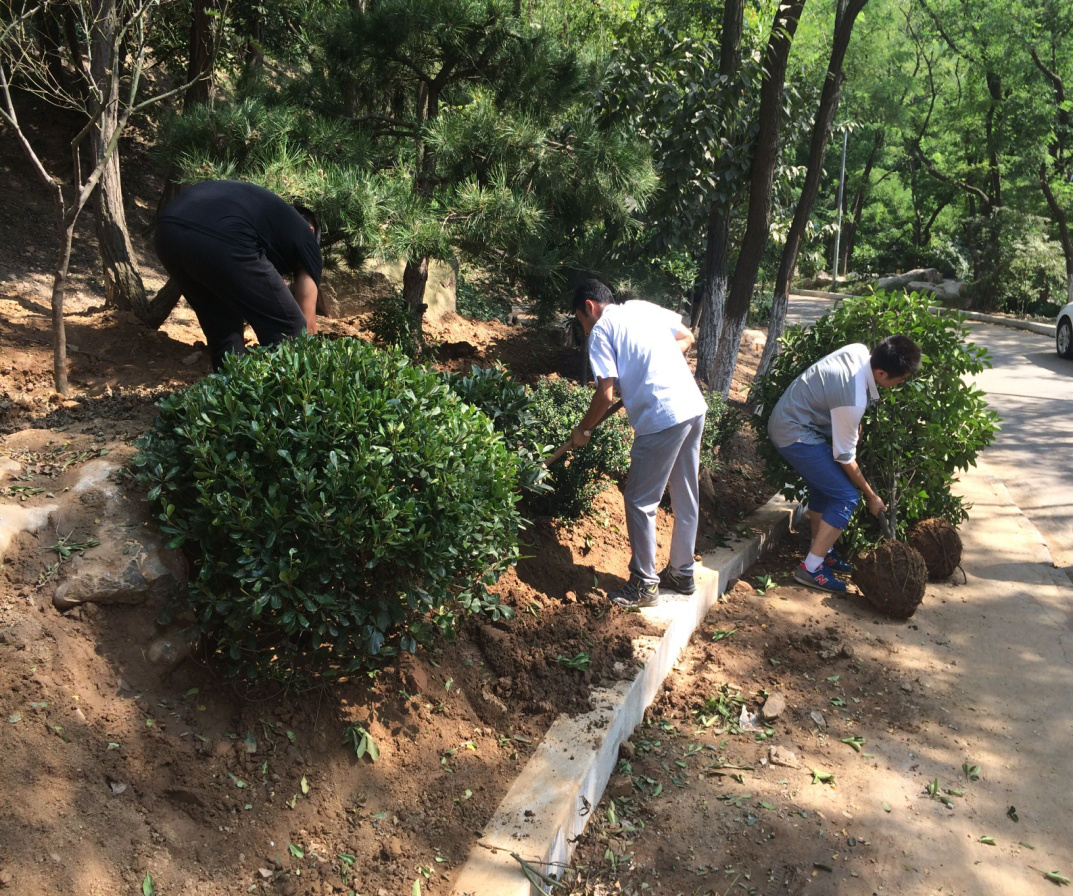 ��8-long8(����)Ψһ�ٷ���վ