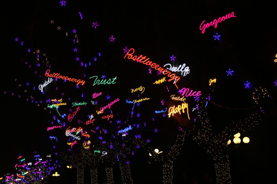 ��ĸ����