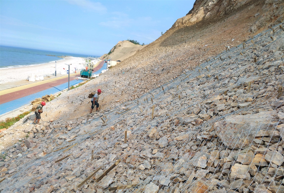 ��8-long8(����)Ψһ�ٷ���վ