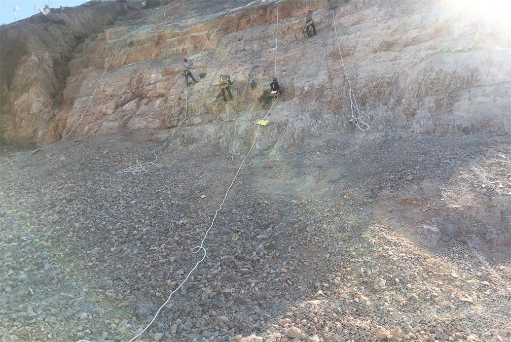 ��8-long8(����)Ψһ�ٷ���վ