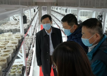 ��8-long8(����)Ψһ�ٷ���վ