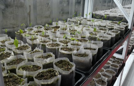 ͼ2 ��˾���������糵��