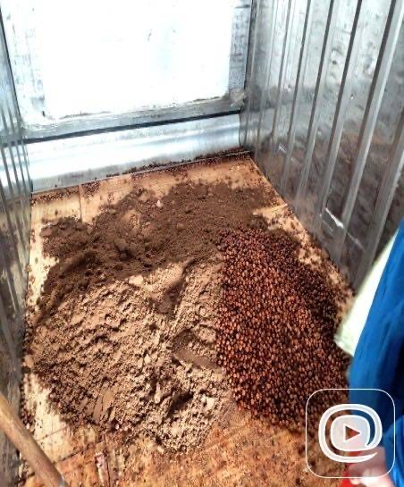 ��8-long8(����)Ψһ�ٷ���վ