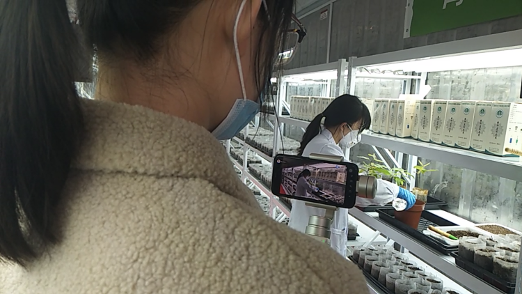 ����ֱ��������������������������