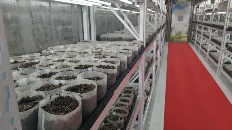 ������������������