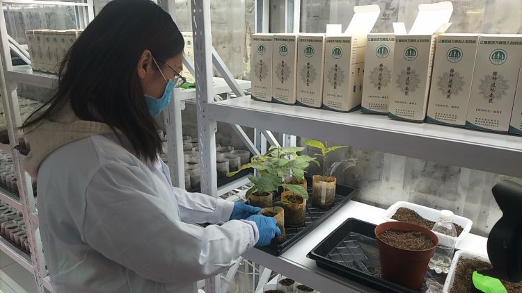 ����ְԱչʾ������һ����������1