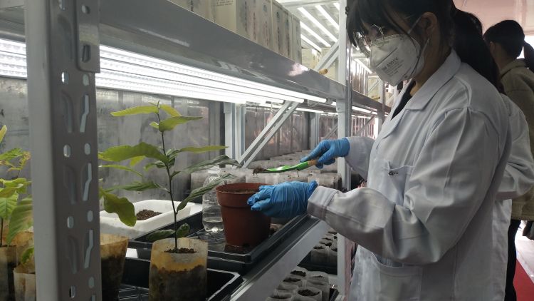 ����ְԱչʾ������һ����������