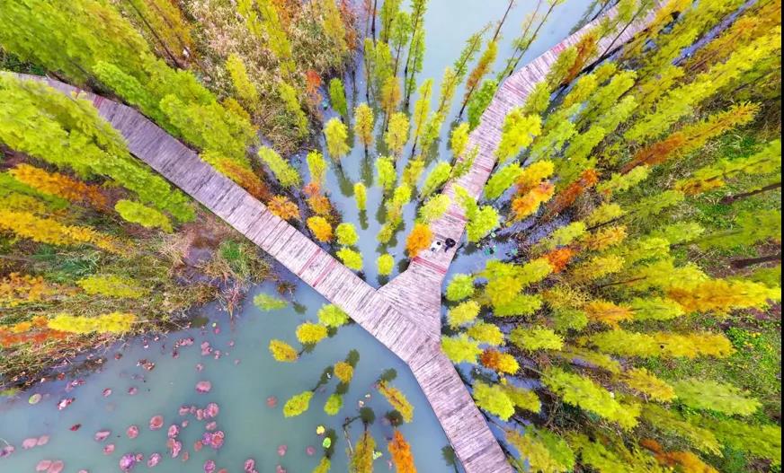 �䡰�ڳ�ˮ�塱Ϊ��ˮ��Ȫ�ǡ�