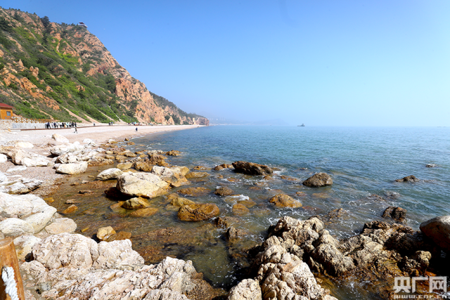 ��8-long8(����)Ψһ�ٷ���վ