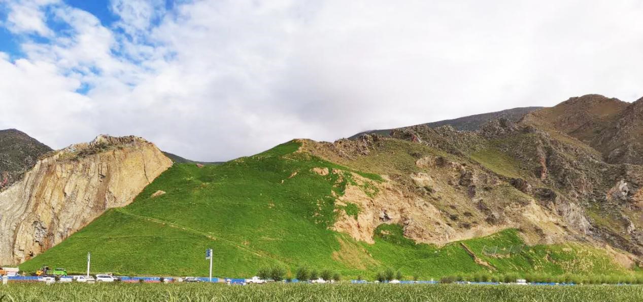 �޸���80��