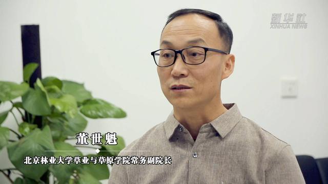 ��̬����