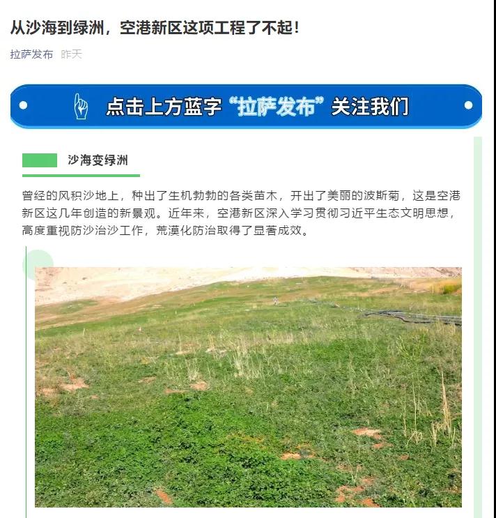 ��8-long8(����)Ψһ�ٷ���վ