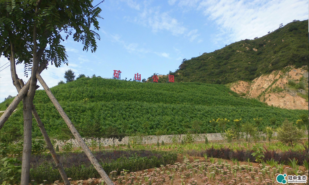 ���������������޸���