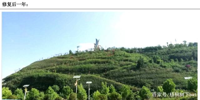 ���������޸���