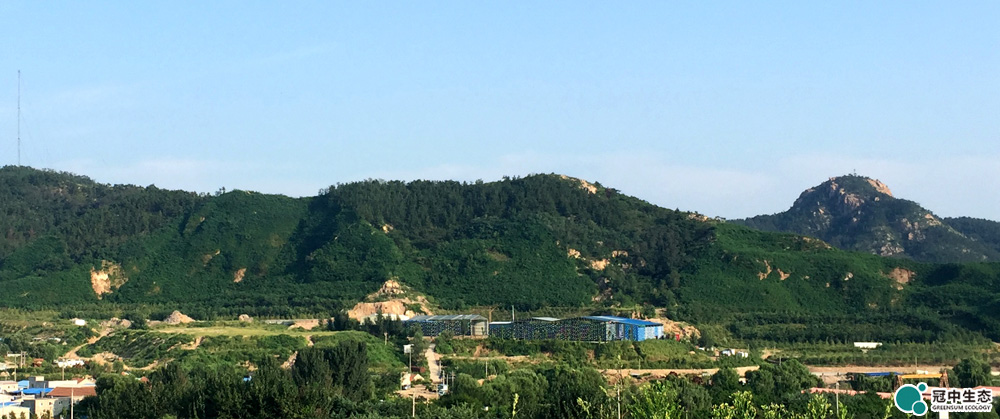 ��8ͷ�����Ψһ�ٷ���վ��Ϸ�޸���Ŀ