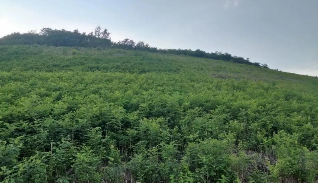 ������Ŀ�޸���2