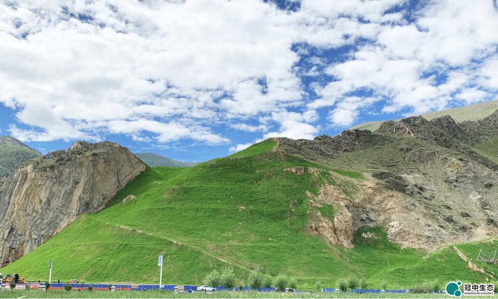 ������ɽɽ���޸�