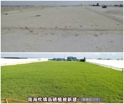 �Ϻ�ֲ���޸�