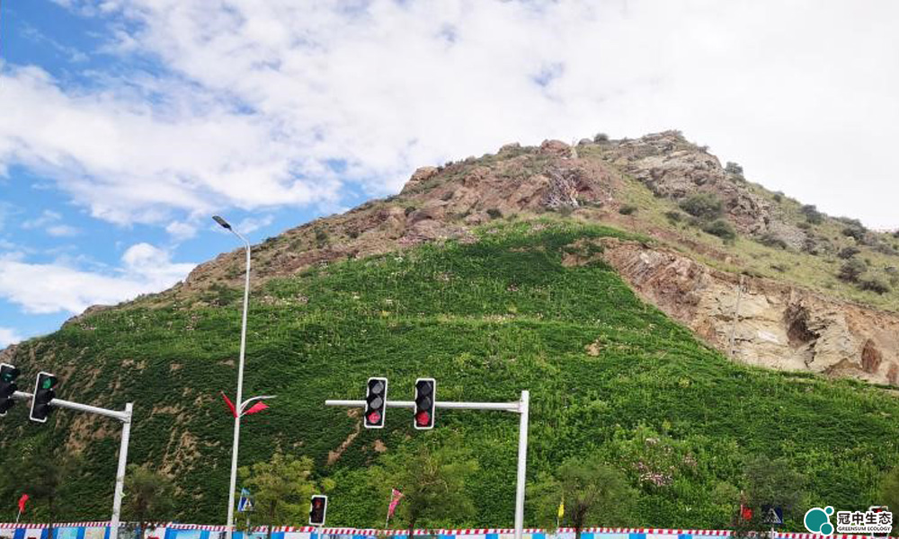 ����ɽ���޸�