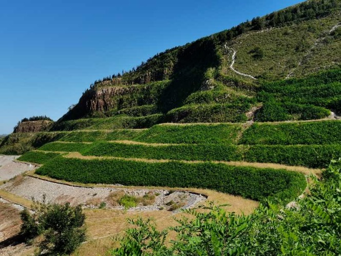 �޸���Ч��