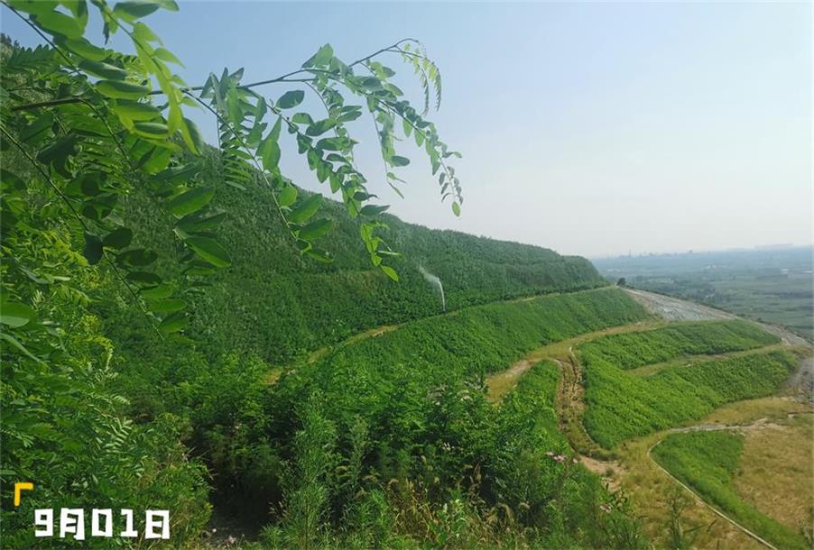 �޸���Ч��