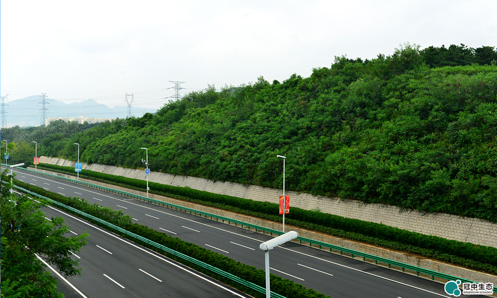 ɽ���޸�Ч��ͼ