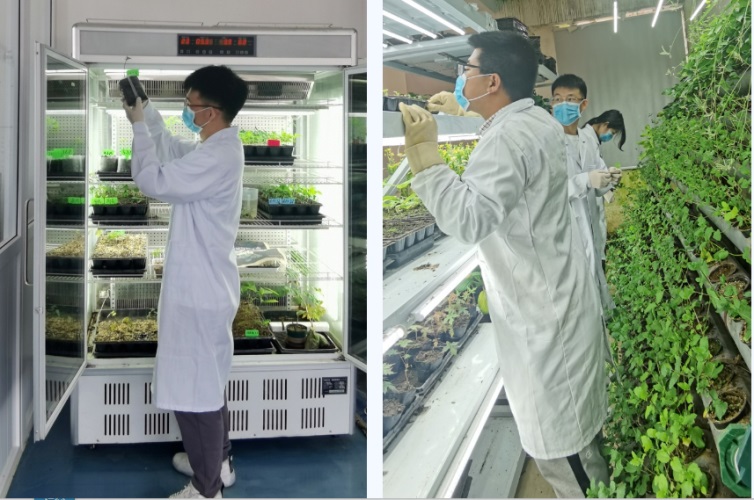 ��8-long8(����)Ψһ�ٷ���վ