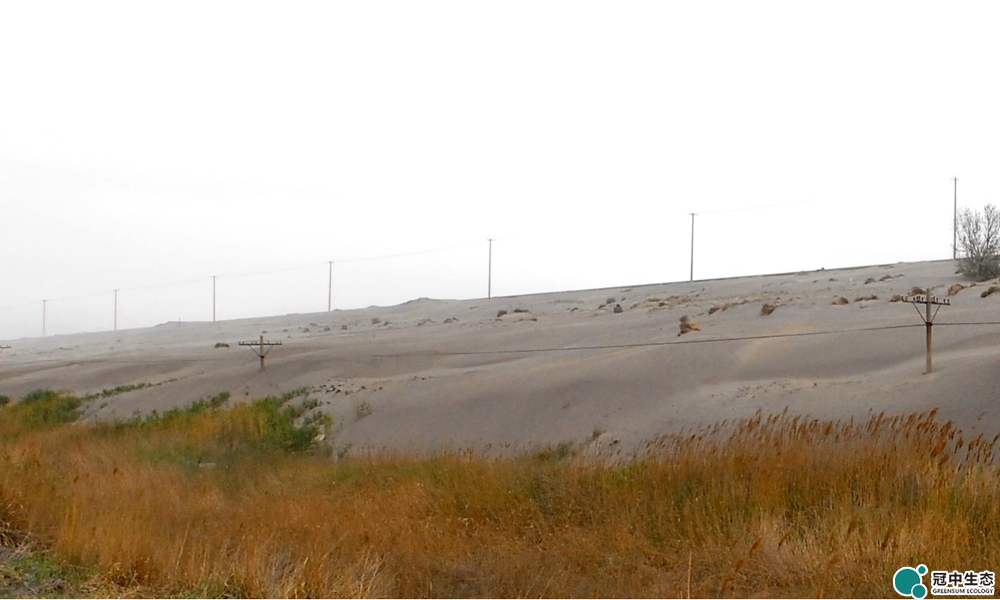 �����޸�ǰ