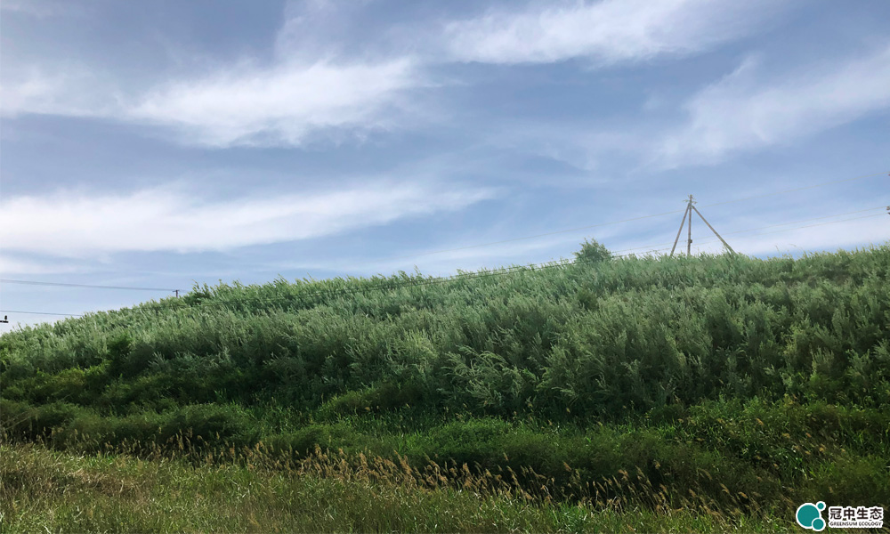 �����޸���