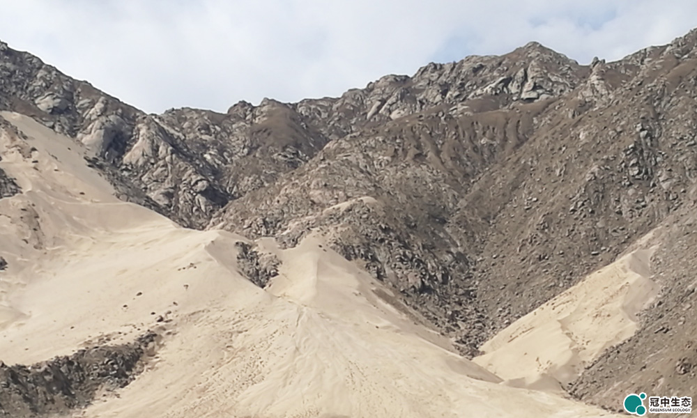 �����ո������޸�ǰ