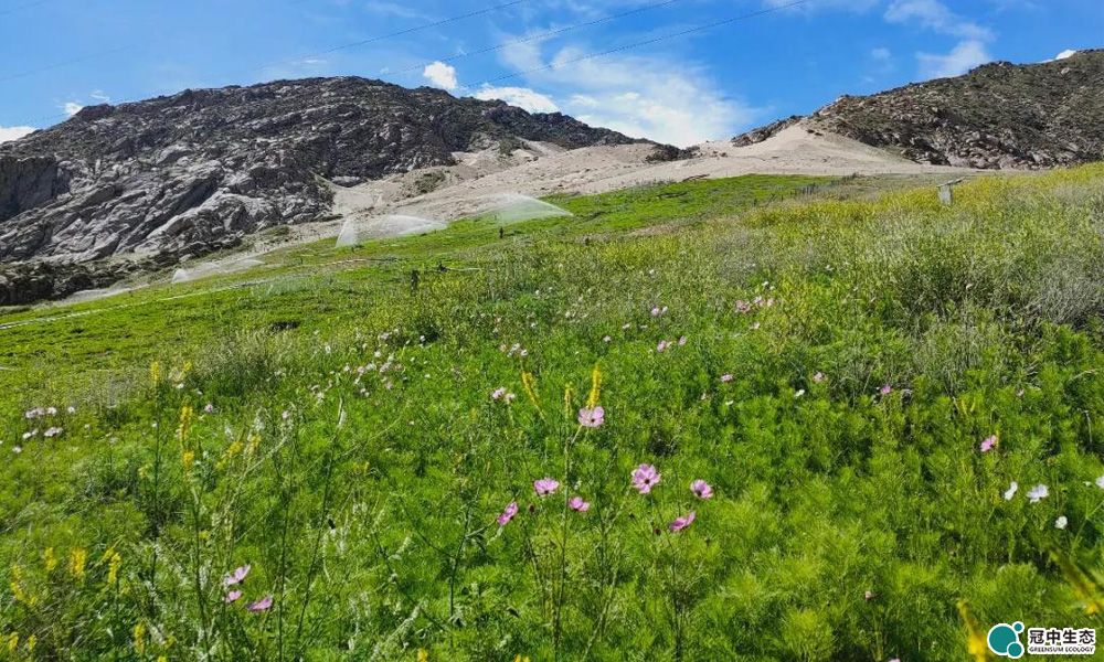 �����ո������޸���