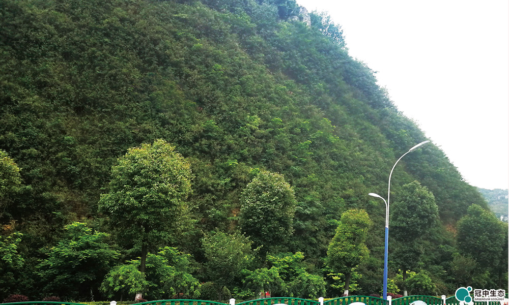 ��˳�޸���