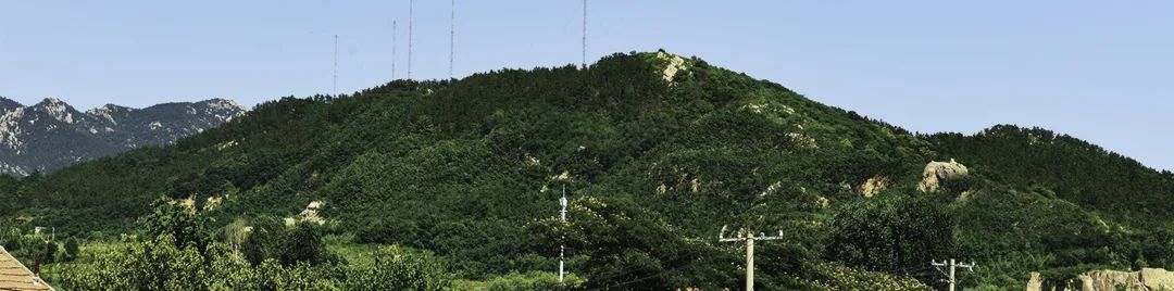 ������Ĳɽ�޸���