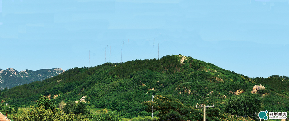 �޸���6��