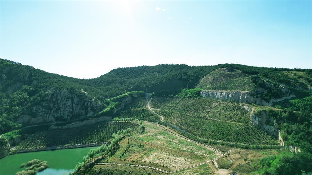 ����·��Ŀ�޸���