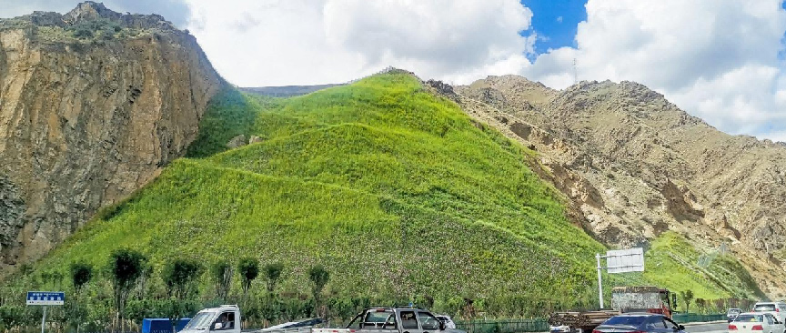 ��8-long8(����)Ψһ�ٷ���վ