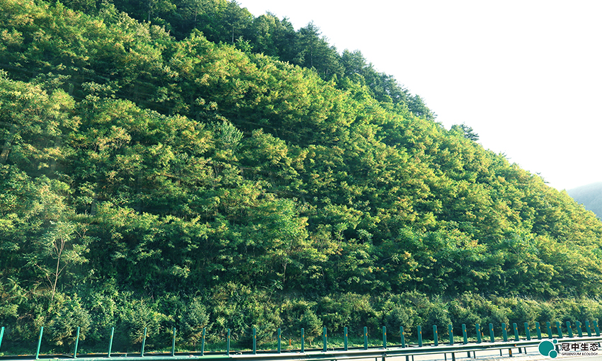 ��8-long8(����)Ψһ�ٷ���վ