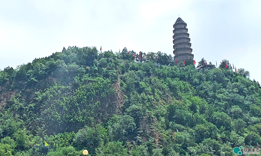 ��8-long8(����)Ψһ�ٷ���վ