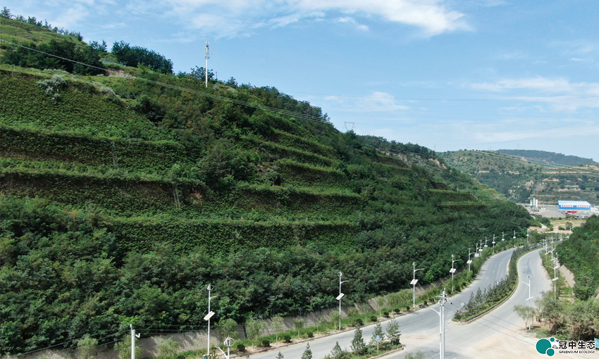 ��8-long8(����)Ψһ�ٷ���վ