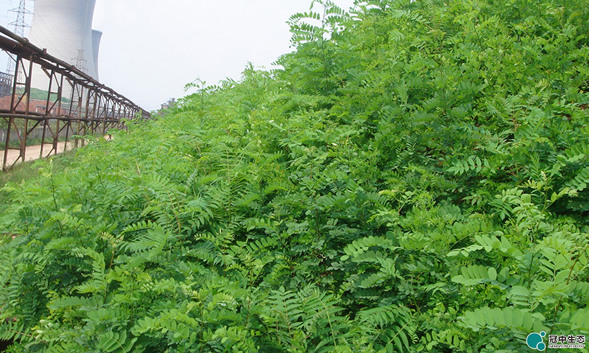 ��8-long8(����)Ψһ�ٷ���վ