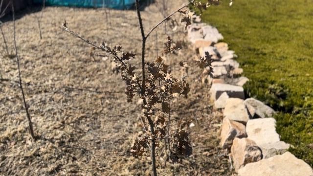 �е������ѱ��˸�