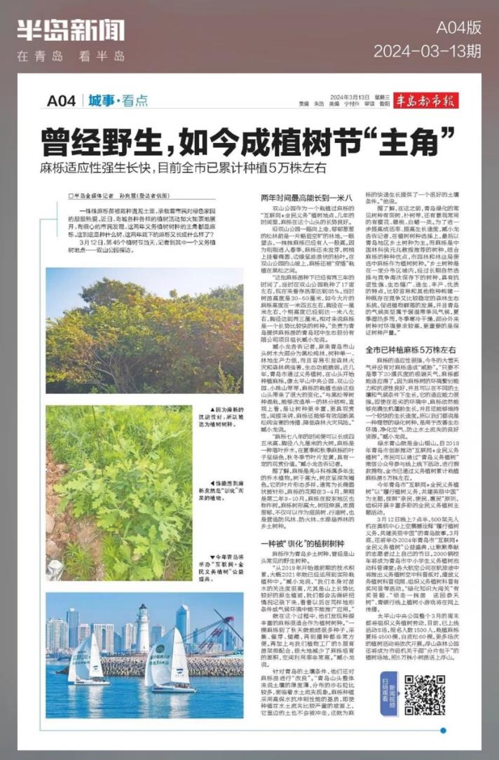 �뵺���ᱨ����