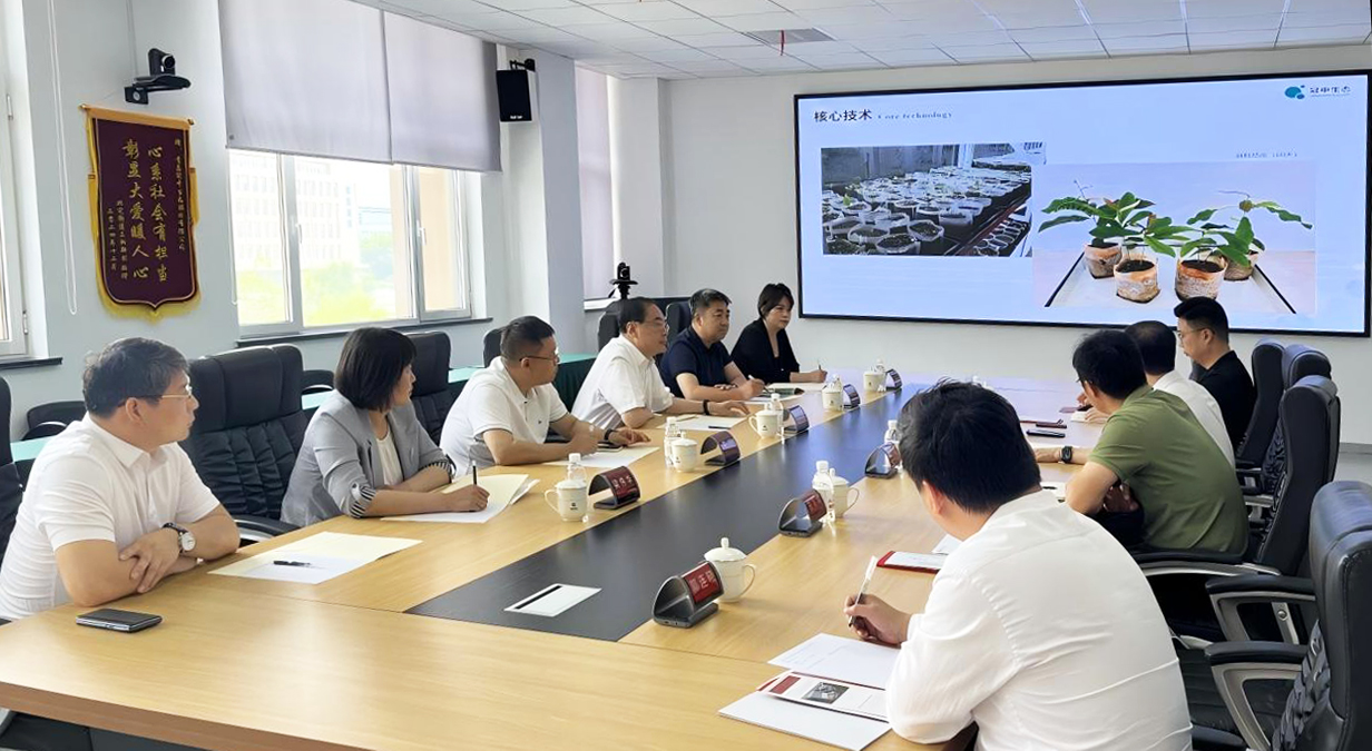 ��̸����